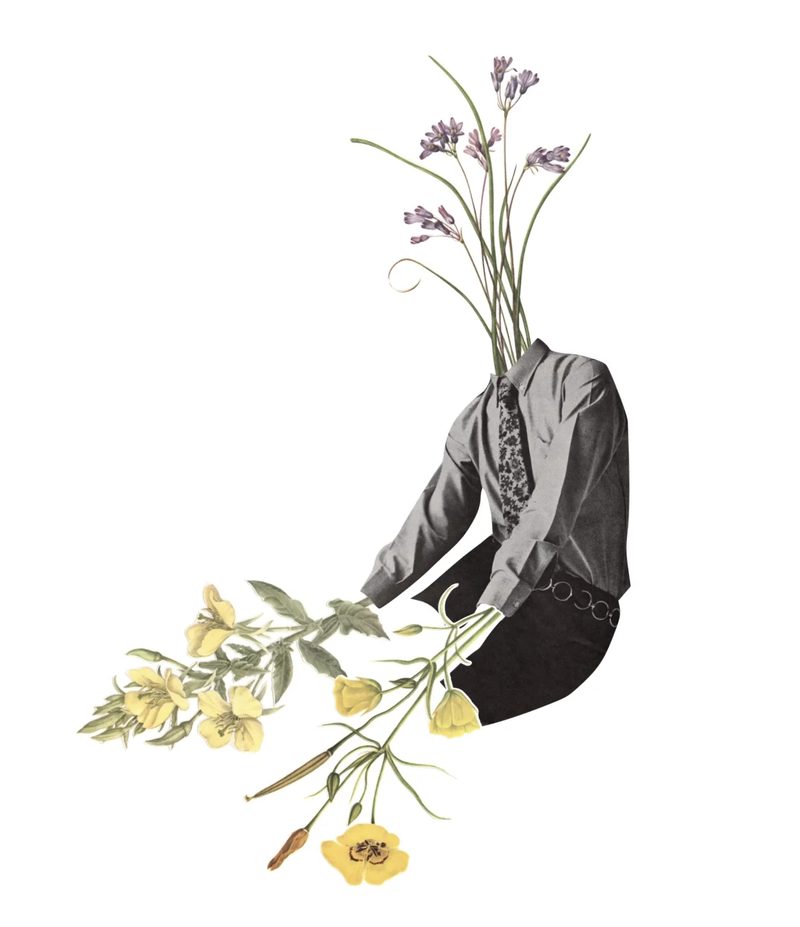 I Shall Grow and Grow